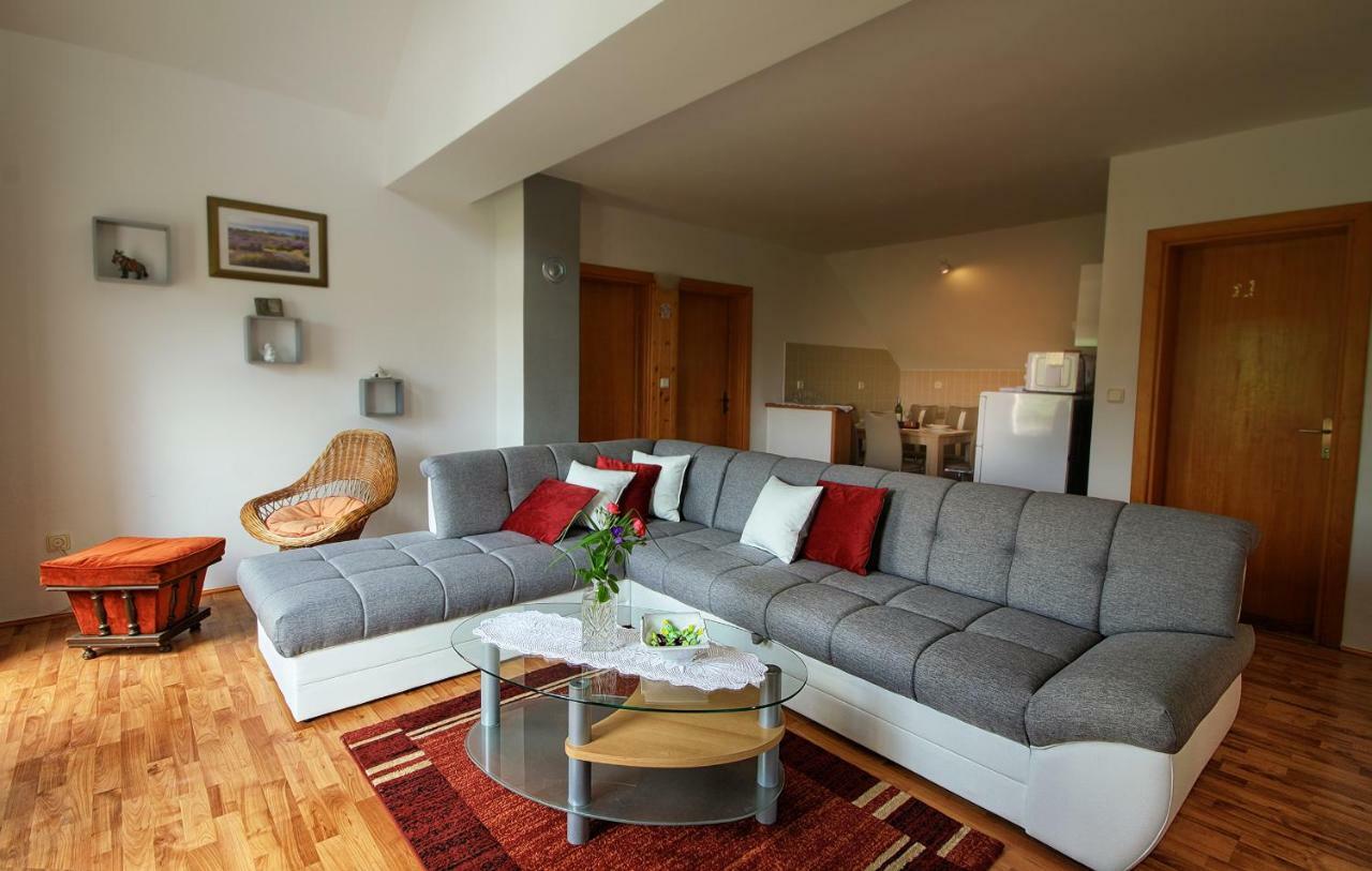 Apartment Medeni Rakovica Εξωτερικό φωτογραφία